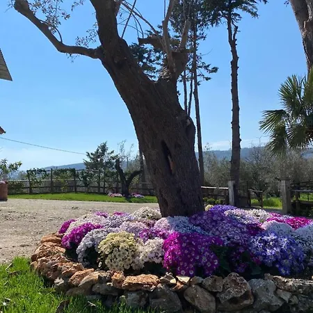 Casa Capozzoli Holiday home Albanella