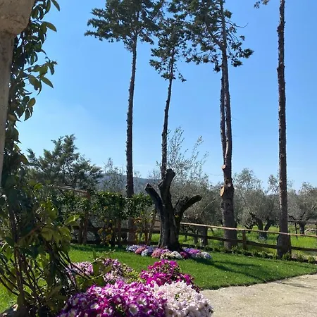 Casa vacanze Casa Capozzoli