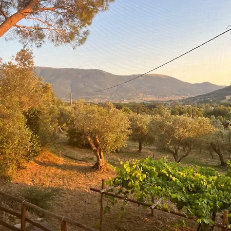 Casa Capozzoli Casa vacanze